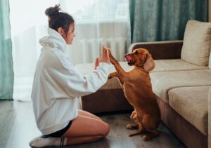 How dogs contribute to your health and happiness